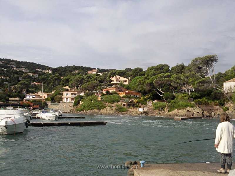 28 octobre 2011  4.jpg - Port Saint Ferréol, commune de Roquebrune sur Argens (83)